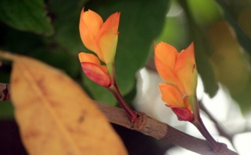Đừng làm việc tốt, hãy làm việc tốt nhất!